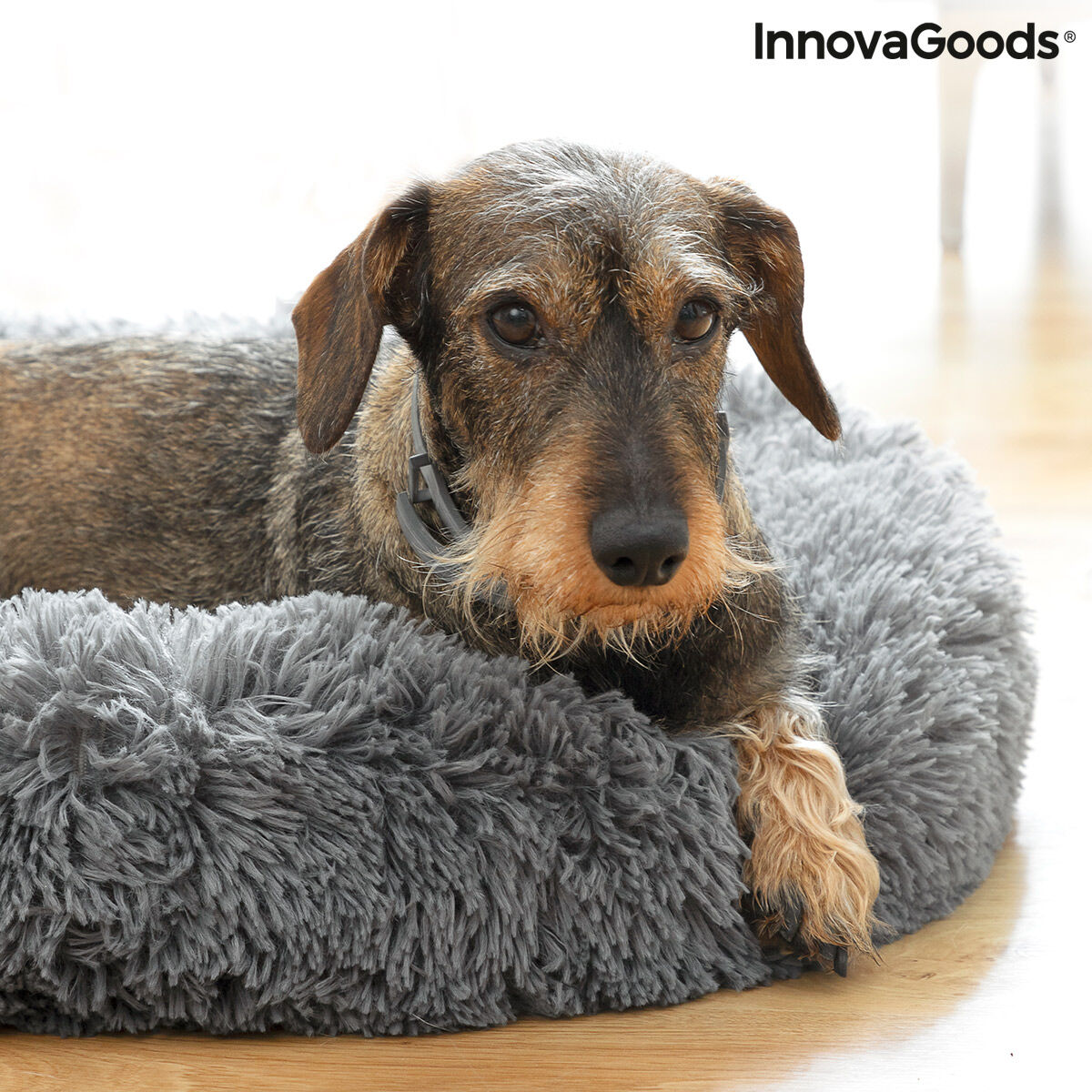 Innovagoods Letto Antistress Per Animali Domestici Bepess Innovagoods Ø 60 Cm