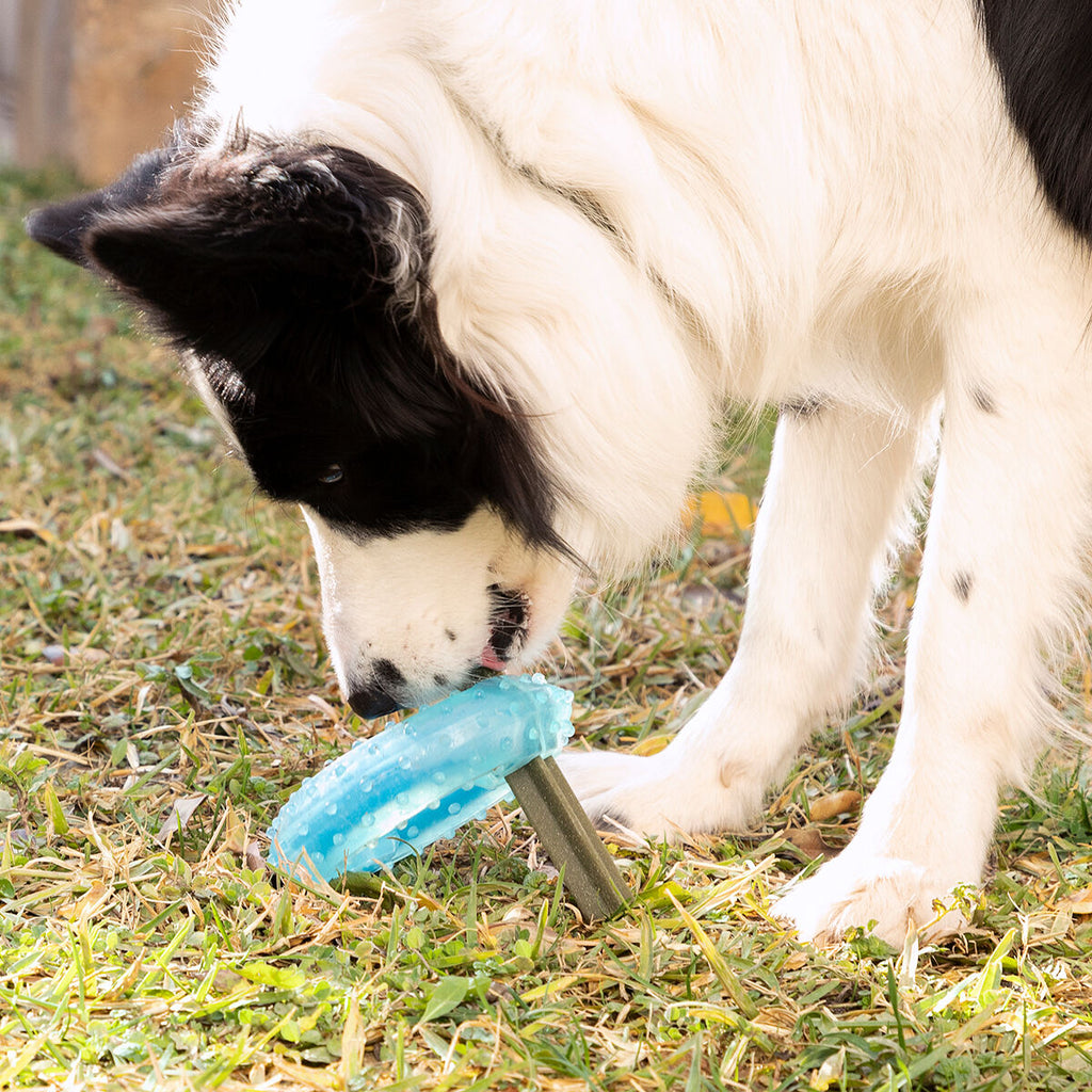 Innovagoods Giocattolo Da Mordere Congelabile Per Animali Domestici 2 In 1 Glubiz Innovagoods