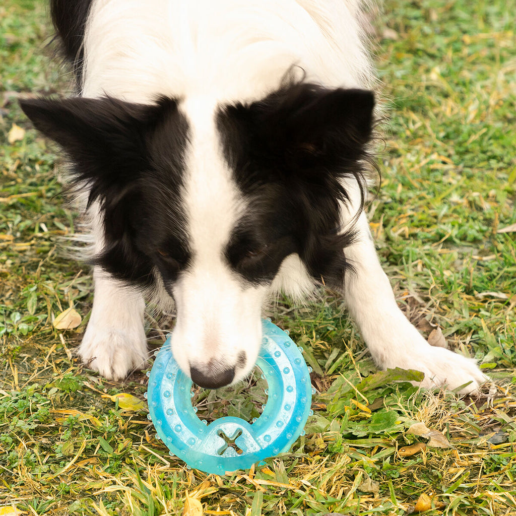 Innovagoods Giocattolo Da Mordere Congelabile Per Animali Domestici 2 In 1 Glubiz Innovagoods