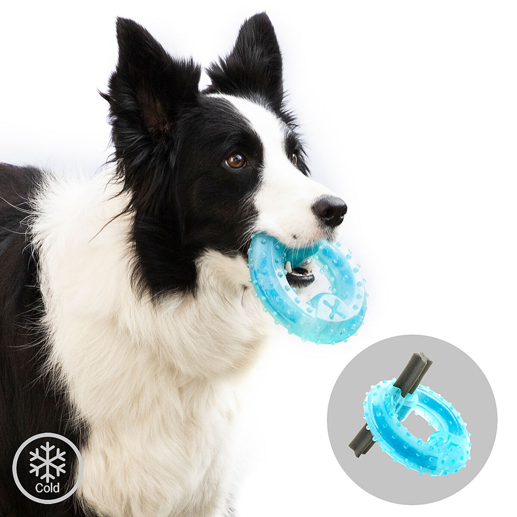 Innovagoods Giocattolo Da Mordere Congelabile Per Animali Domestici 2 In 1 Glubiz Innovagoods