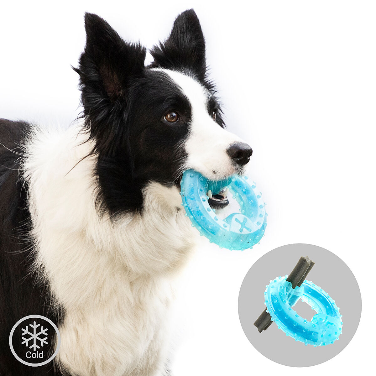 Innovagoods Giocattolo Da Mordere Congelabile Per Animali Domestici 2 In 1 Glubiz Innovagoods