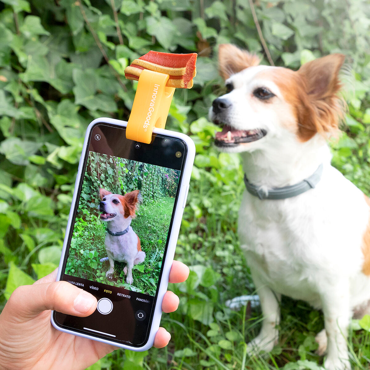 Innovagoods Pack Clip Per Selfie Per Animali Domestici E Amaca Pensile Per Gatti Innovagoods
