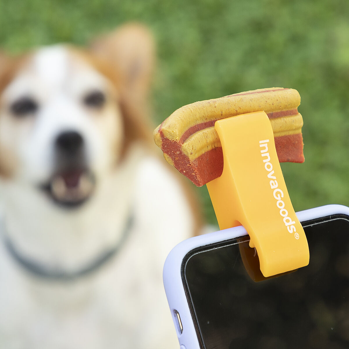 Innovagoods Pack Clip Per Selfie Per Animali Domestici E Amaca Pensile Per Gatti Innovagoods