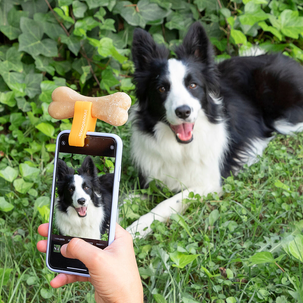 Innovagoods Pack Clip Per Selfie Per Animali Domestici E Amaca Pensile Per Gatti Innovagoods