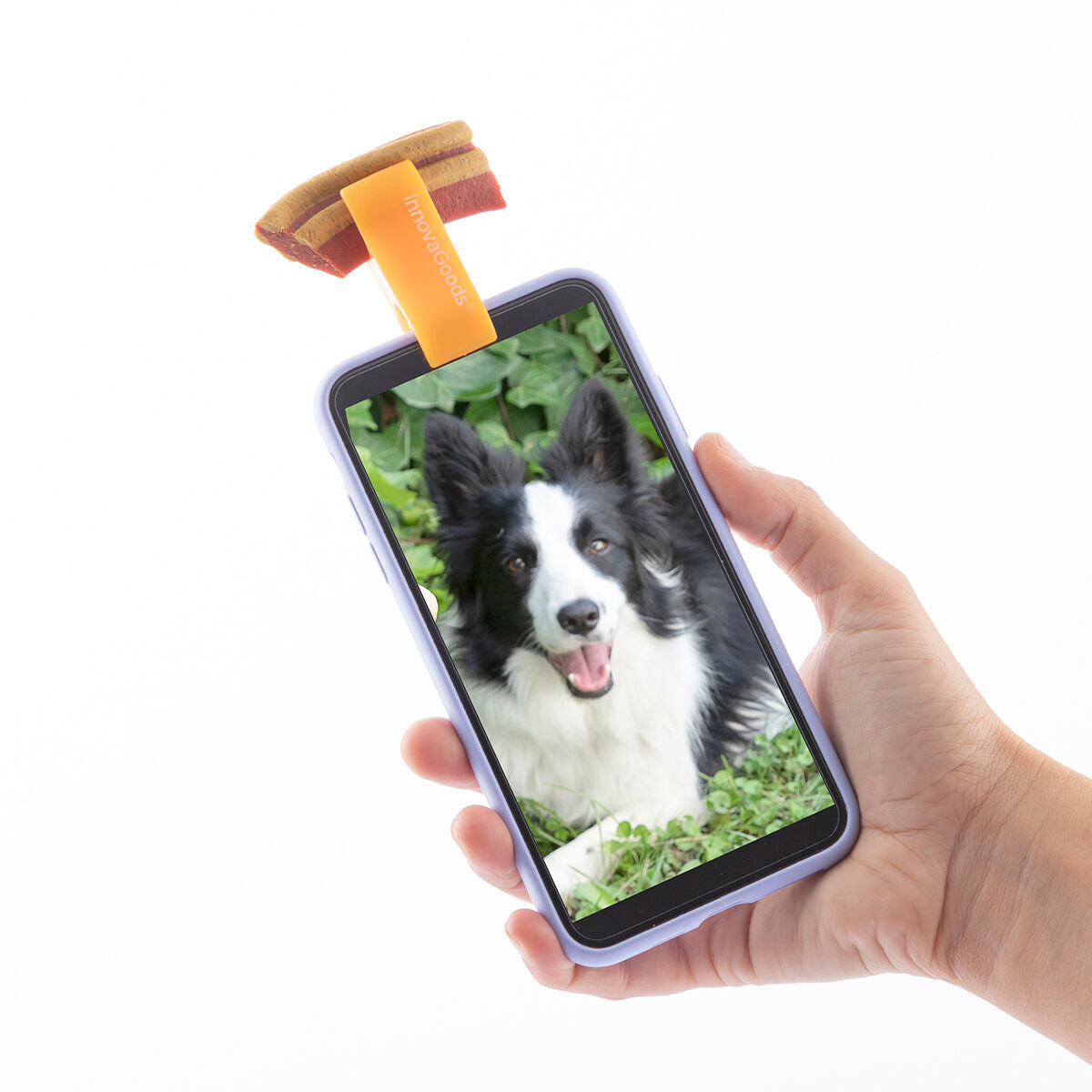 Innovagoods Pack Clip Per Selfie Per Animali Domestici E Amaca Pensile Per Gatti Innovagoods