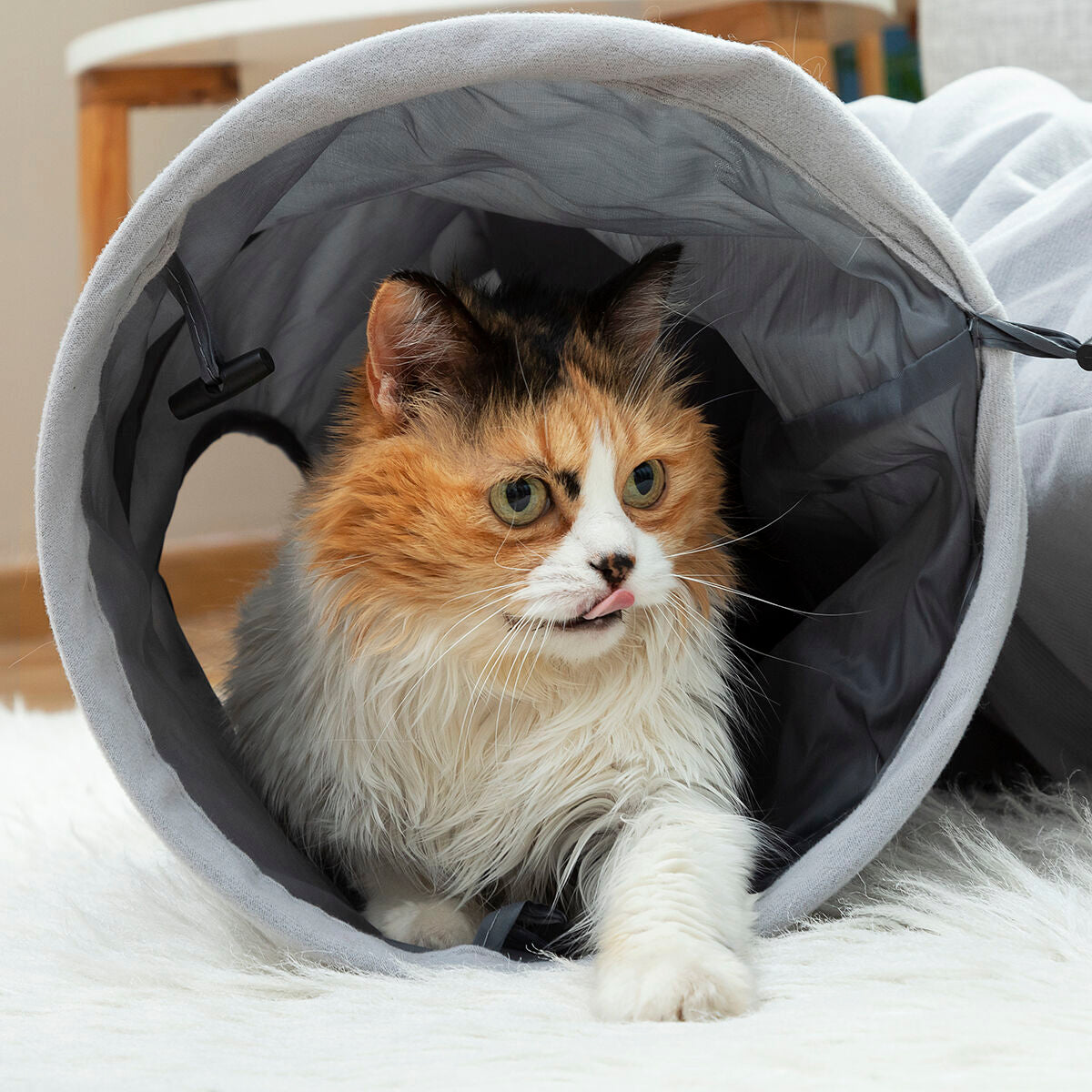 Innovagoods Tunnel Pieghevole Per Animali Domestici Funnyl Innovagoods