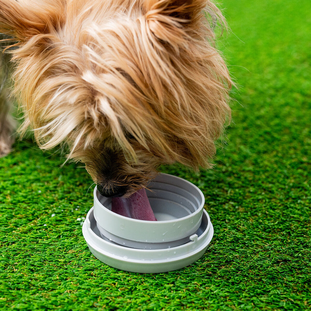 Innovagoods Guinzaglio Retrattile Per Cani 6 In 1 Leashic Innovagoods