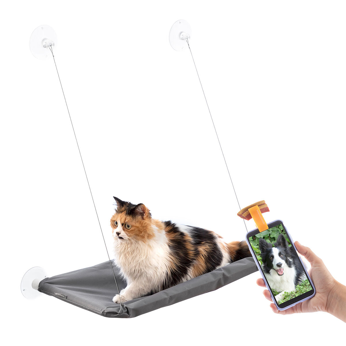 Innovagoods Pack Clip Per Selfie Per Animali Domestici E Amaca Pensile Per Gatti Innovagoods